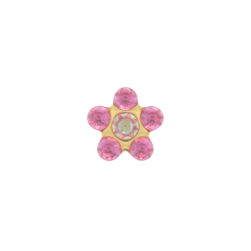 Ster (429)